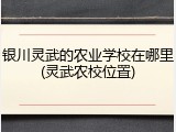 银川灵武的农业学校在哪里(灵武农校位置)