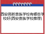 西安高新贵族学校有哪些学校好(西安贵族学校推荐)