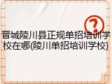 晋城陵川县正规单招培训学校在哪(陵川单招培训学校)