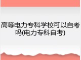 高等电力专科学校可以自考吗(电力专科自考)