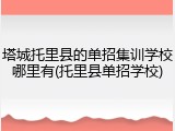 塔城托里县的单招集训学校哪里有(托里县单招学校)