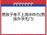 男孩子考不上高中咋办(男孩升学无门)