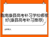 陇南康县高考补习学校哪家好(康县高考补习推荐)