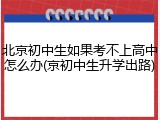 北京初中生如果考不上高中怎么办(京初中生升学出路)