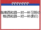 陇南西和县一对一补习班价格(西和县一对一补课价)
