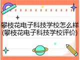 攀枝花电子科技学校怎么样(攀枝花电子科技学校评价)