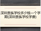 深圳贵族学校多少钱一个学期(深圳贵族学校学费)