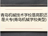 青岛机械技术学校是高职还是大专(青岛机械学校类型)