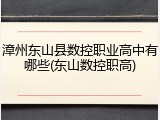 漳州东山县数控职业高中有哪些(东山数控职高)