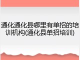 通化通化县哪里有单招的培训机构(通化县单招培训)