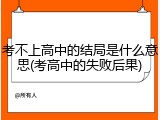 考不上高中的结局是什么意思(考高中的失败后果)