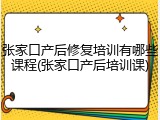 张家口产后修复培训有哪些课程(张家口产后培训课)