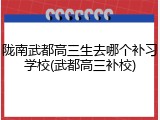 陇南武都高三生去哪个补习学校(武都高三补校)