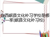 定西岷县文化补习学校是哪一家(岷县文化补习校)