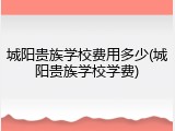 城阳贵族学校费用多少(城阳贵族学校学费)