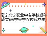 南宁兴宁农业中专学校哪年成立(南宁兴宁农校成立年)