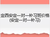 定西安定一对一补习班价格(安定一对一补习)