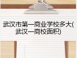 武汉市第一商业学校多大(武汉一商校面积)