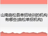 山南曲松县单招培训的机构有哪些(曲松单招机构)