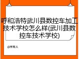 呼和浩特武川县数控车加工技术学校怎么样(武川县数控车技术学校)