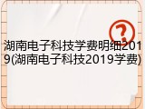 湖南电子科技学费明细2019(湖南电子科技2019学费)