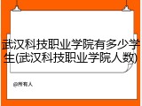 武汉科技职业学院有多少学生(武汉科技职业学院人数)
