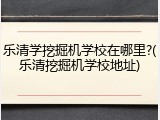 乐清学挖掘机学校在哪里?(乐清挖掘机学校地址)