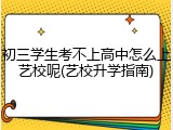 初三学生考不上高中怎么上艺校呢(艺校升学指南)