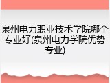 泉州电力职业技术学院哪个专业好(泉州电力学院优势专业)