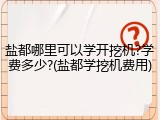盐都哪里可以学开挖机?学费多少?(盐都学挖机费用)