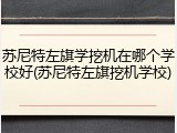 苏尼特左旗学挖机在哪个学校好(苏尼特左旗挖机学校)
