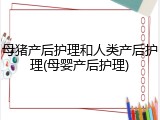 母猪产后护理和人类产后护理(母婴产后护理)