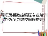 阿坝茂县数控编程专业培训学校(茂县数控编程培训)