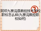阿坝九寨沟县数控技术学校职校怎么样(九寨沟数控职校如何)