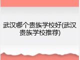 武汉哪个贵族学校好(武汉贵族学校推荐)