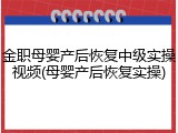 金职母婴产后恢复中级实操视频(母婴产后恢复实操)