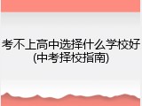 考不上高中选择什么学校好(中考择校指南)