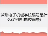 泸州电子机械学校编号是什么(泸州机电校编号)