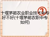 十堰茅箭农业职业技术中专好不好(十堰茅箭农职中专如何)