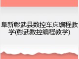 阜新彰武县数控车床编程教学(彰武数控编程教学)