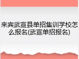 来宾武宣县单招集训学校怎么报名(武宣单招报名)
