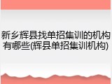 新乡辉县找单招集训的机构有哪些(辉县单招集训机构)