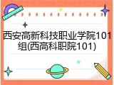 西安高新科技职业学院101组(西高科职院101)