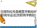 日喀则拉孜县哪里学数控好职高毕业(拉孜职高学数控)