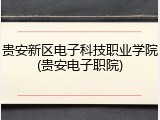 贵安新区电子科技职业学院(贵安电子职院)