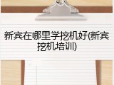 新宾在哪里学挖机好(新宾挖机培训)