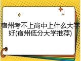 宿州考不上高中上什么大学好(宿州低分大学推荐)