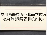 文山西畴县农业职高学校怎么样啊(西畴农职校如何)