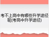 考不上高中有哪些升学途径呢(考高中升学途径)