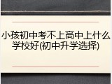 小孩初中考不上高中上什么学校好(初中升学选择)